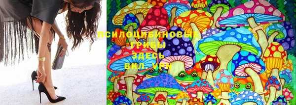PSILOCYBIN Беломорск