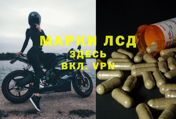 2c-b Белокуриха