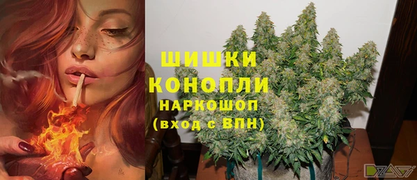 PSILOCYBIN Беломорск