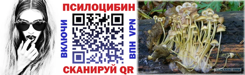 Купить  Ленинск  Галлюциногенные грибы прущие грибы 